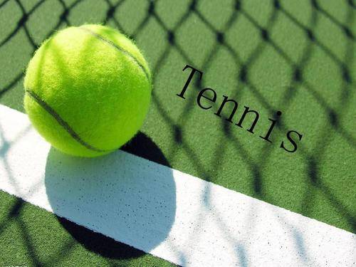 适应不同比 适应不同比