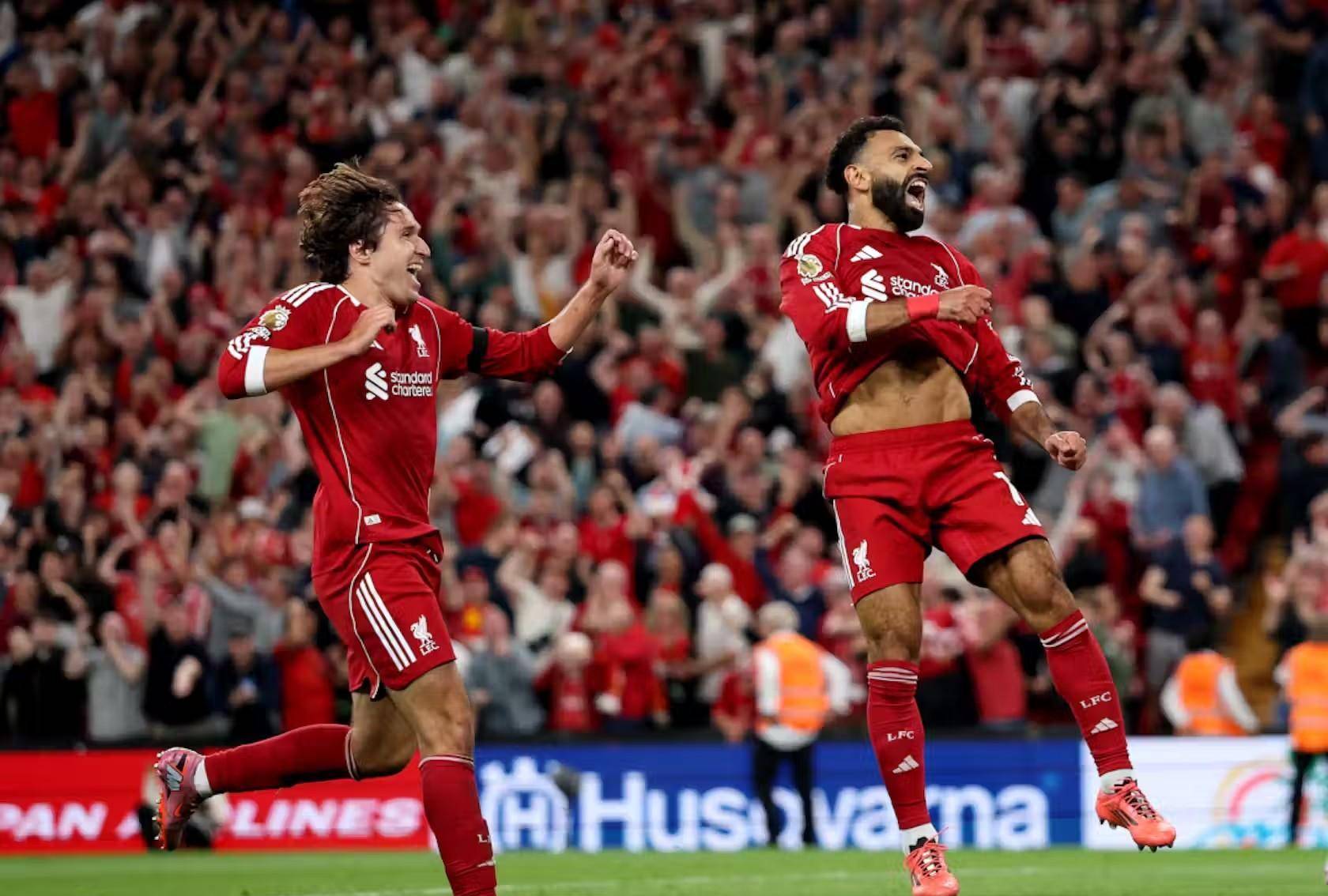 排球新星的 排球新星的